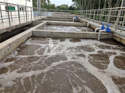 涂料企業(yè):不滿意污水處理設(shè)備設(shè)施,如何擴(kuò)建改造?長(zhǎng)期穩(wěn)定